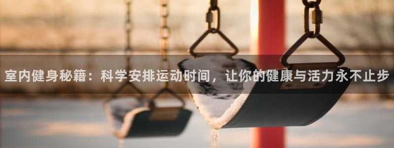 杏鑫体育2官网入口：室内健身秘籍：科学安排运动时间，让你的健康与活力永不止步