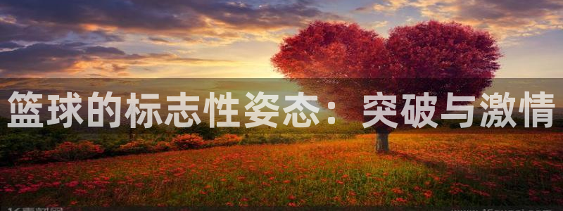 杏鑫3注册：篮球的标志性姿态：突破与激情