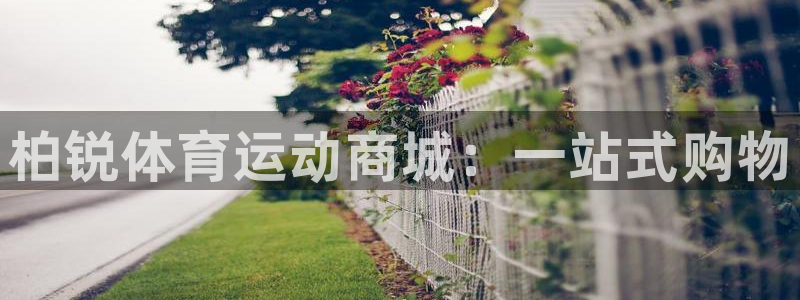 杏鑫体育官网注册：柏锐体育运动商城：一站式购物