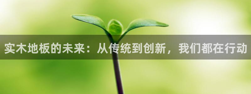 杏鑫体育凯捷代理注册：实木地板的未来：从传统到创新，我们都在行动