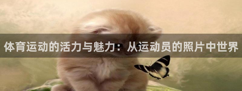 杏鑫体育和杏耀是哪个公司的：体育运动的活力与魅力：从运动员的照片中世界