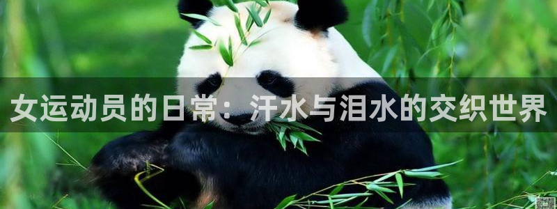 杏鑫4登录：女运动员的日常：汗水与泪水的交织世界