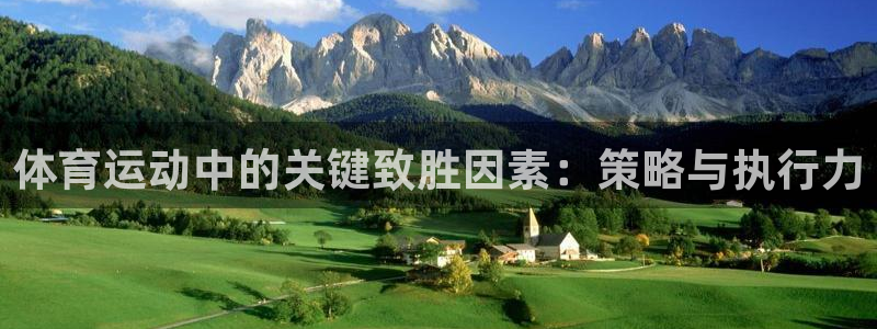 杏鑫体育3：体育运动中的关键致胜因素：策略与执行力