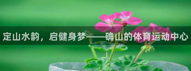 杏鑫4平台：定山水韵，启健身梦——确山的体育运动中心