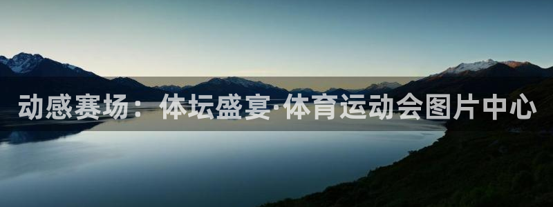 杏鑫凯捷注册：动感赛场：体坛盛宴·体育运动会图片中心
