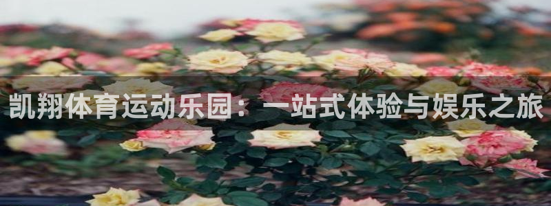 杏鑫3平台注册：凯翔体育运动乐园：一站式体验与娱乐之旅