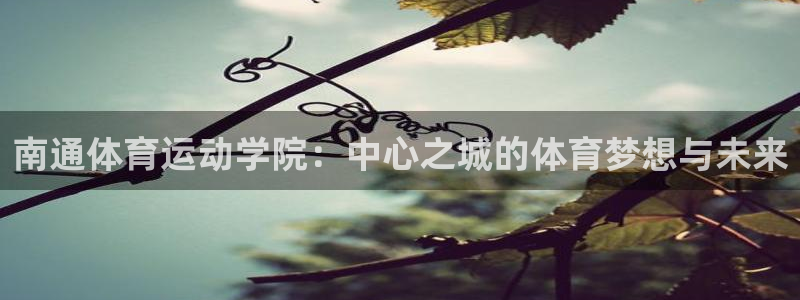 杏鑫体育3：南通体育运动学院：中心之城的体育梦想与未来