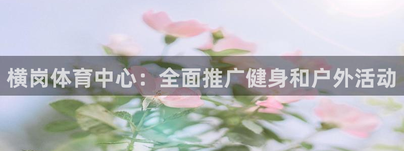 杏鑫2登录地址：横岗体育中心：全面推广健身和户外活动