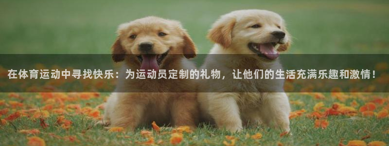 杏鑫登录：在体育运动中寻找快乐：为运动员定制的礼物，让他们的生活充满乐趣和激情！