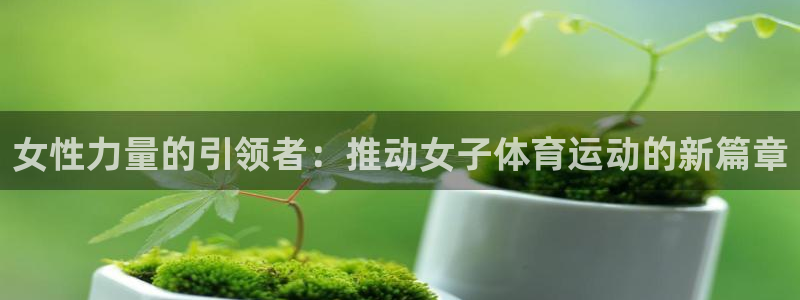 杏鑫凯捷注册：女性力量的引领者：推动女子体育运动的新篇章