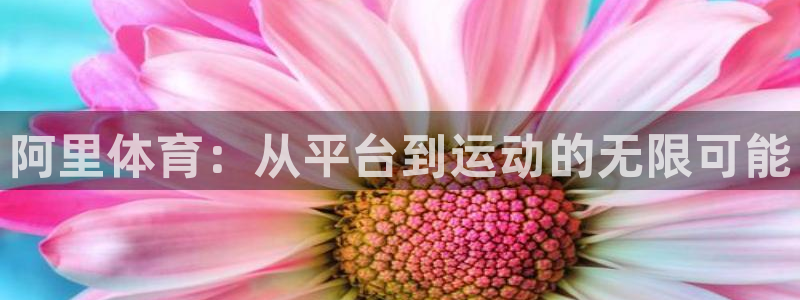 佛山市南海杏鑫机电仪器有限公司：阿里体育：从平台到运动的无限可能