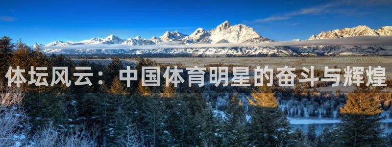 福建杏鑫机电股份公司：体坛风云：中国体育明星的奋斗与辉煌