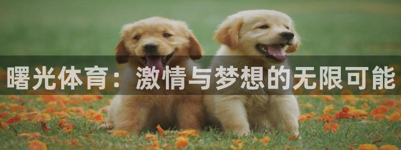 杏鑫体育官网入口登录：曙光体育：激情与梦想的无限可能