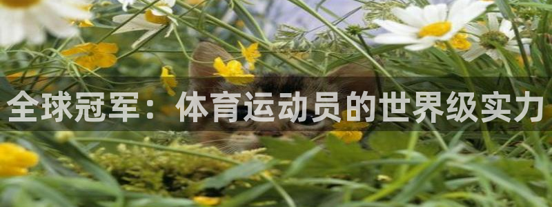 杏鑫2官网：全球冠军：体育运动员的世界级实力