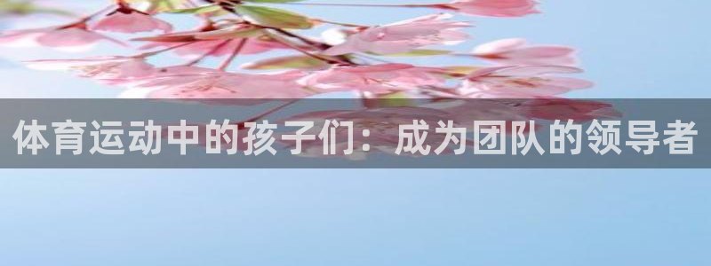 杏鑫能源：体育运动中的孩子们：成为团队的领导者