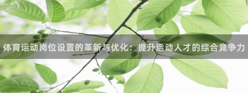 杏鑫4注册：体育运动岗位设置的革新与优化：提升运动人才的综合竞争力