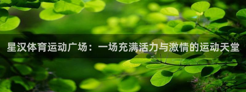 杏鑫2注册：星汉体育运动广场：一场充满活力与激情的运动天堂