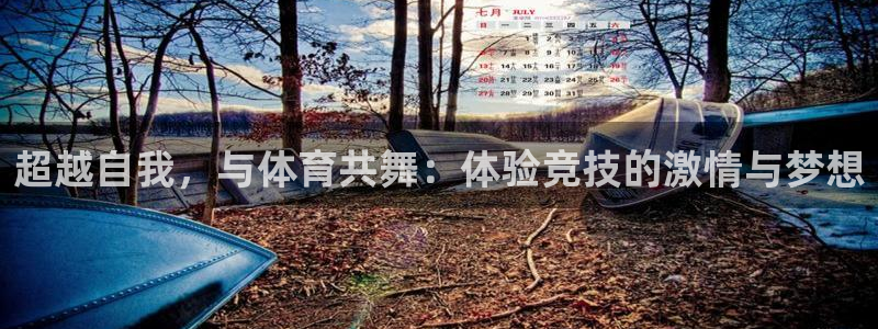 杏鑫3代理：超越自我，与体育共舞：体验竞技的激情与梦想