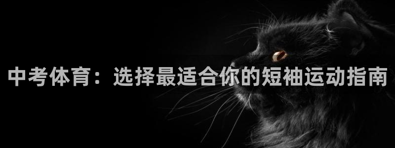 杏鑫2平台：中考体育：选择最适合你的短袖运动指南