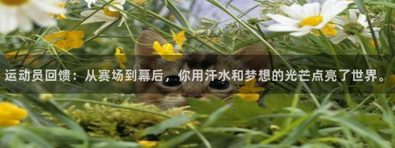 杏鑫体育凯捷平台代理：运动员回馈：从赛场到幕后，你用汗水和梦想的光芒点亮了世界。