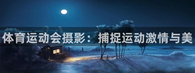 杏鑫平台主管：体育运动会摄影：捕捉运动激情与美