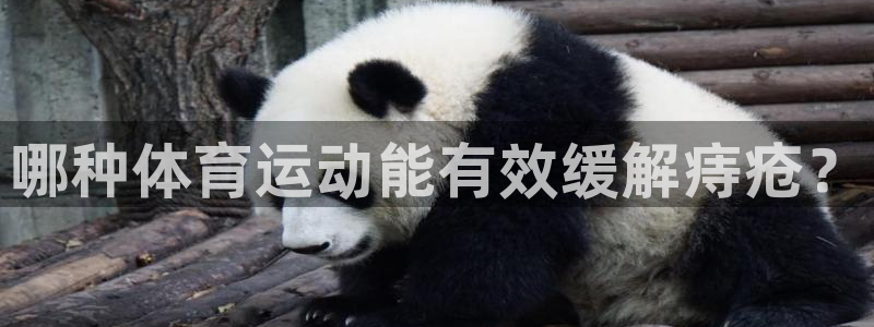 杏鑫f平台注册：哪种体育运动能有效缓解痔疮？