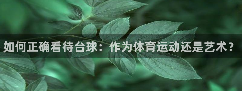 杏鑫股份