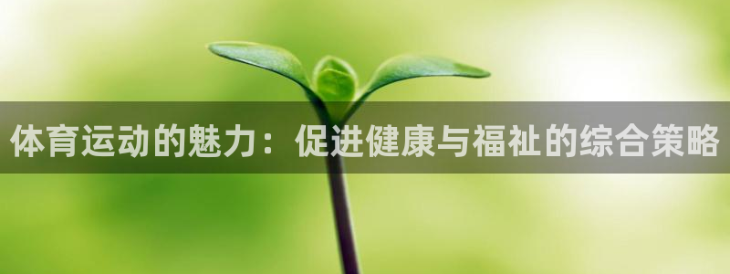 杏鑫2登录：体育运动的魅力：促进健康与福祉的综合策略