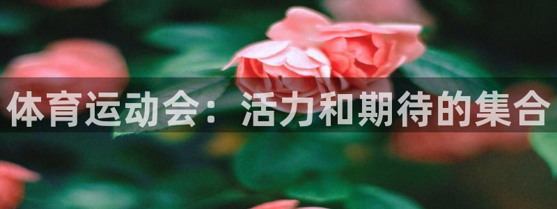 杏鑫平台开户链接：体育运动会：活力和期待的集合