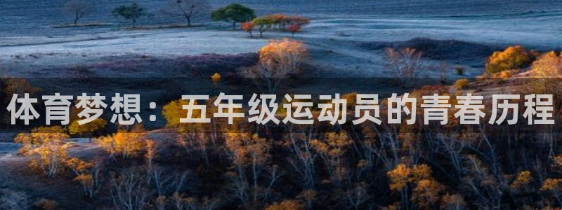 杏鑫登录：体育梦想：五年级运动员的青春历程
